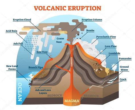 Diagram Of A Volcano Erupting Volcanic Eruption Vector Illustration
