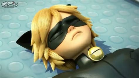 To register your cat as an emotional support animal, speak with a licensed esa doctor to get your esa cat letter today. Chat noir dead - YouTube