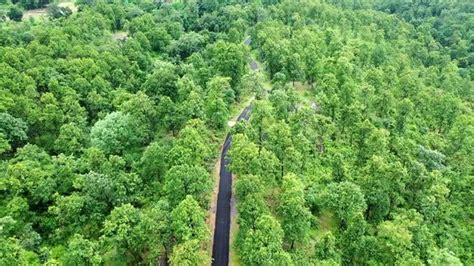 Drone Flying Over A Forest Following A Village Road Stock Footage