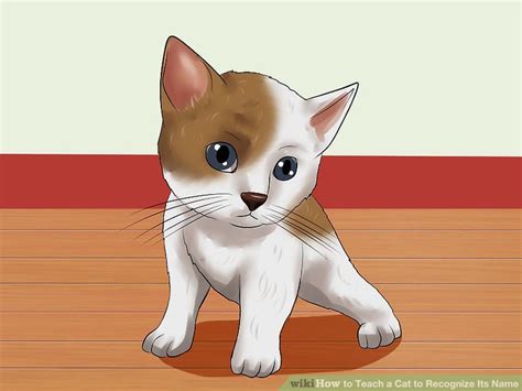 How To Teach A Cat To Recognize Its Name 9 Steps With Pictures