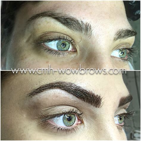 Microblading Feathering Feather Touch Brows Microstroke Hair