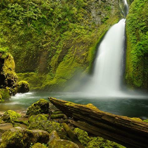 14 Breathtaking Hidden Waterfalls In Oregon Oregon Photography