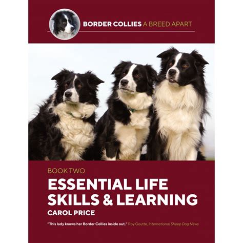 Border Collies A Breed Apart Book Two Essential Life Skills And