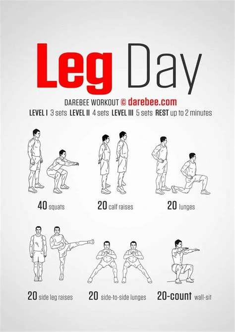 Leg Workout For All Muscle Groups Day 1