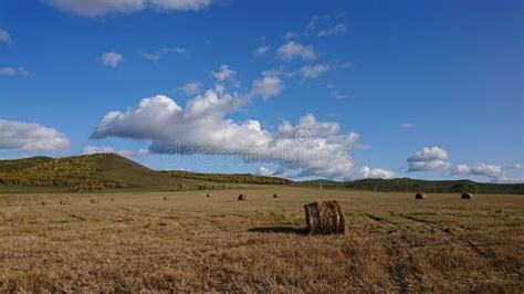 Hulunbuir Grassland Scenery Stock Photo Image Of Clouds Grasslands