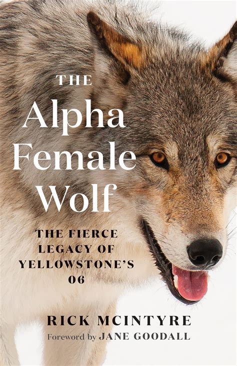 The Alpha Female Wolf Seattle Book Review