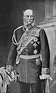 Kaiser Guglielmo I Di Germania - Foto e Immagini Stock - iStock