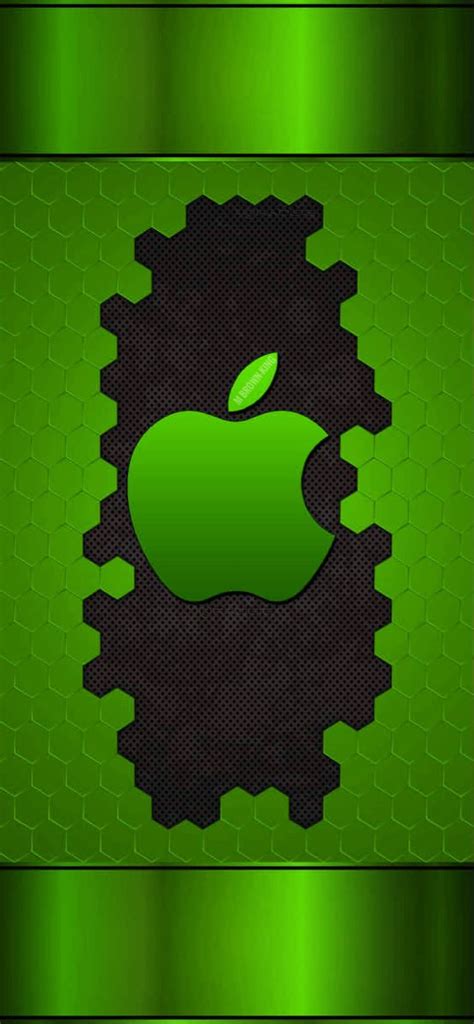 Iphone X11 Green Apple Logo Apple Logo Wallpaper Apple Logo