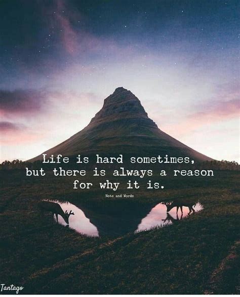 Life Is Hard Sometimes But There Is Always A Reason For Why It Is