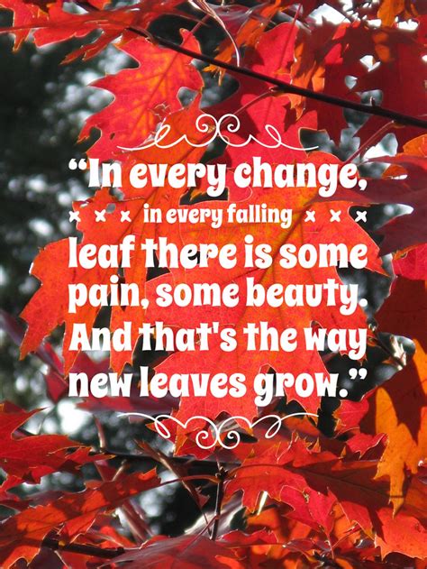 9 Welcome Autumn Quotes About My Favorite Season