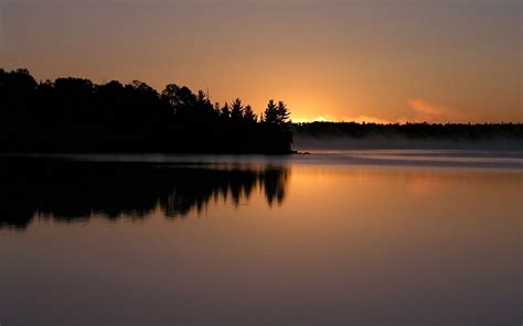 Silhouette Of Trees Beside Body Of Water Photo Hd Wallpaper Wallpaper