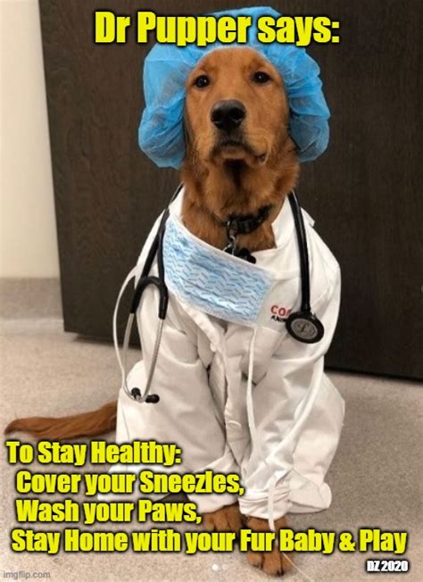 The Dr Pupper Says To Stay Healthy Imgflip