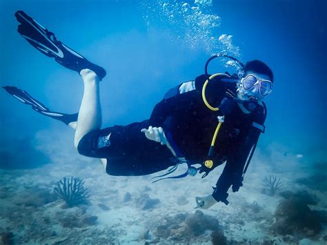 Greg's Marine Biology Blog - marine biology internship in the Maldives