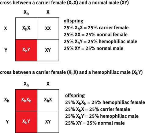 In other words, a dihybrid cross is a cross between two organisms, with both being heterozygous for two different traits. Figure 12.9. Sex-Linked Cross Unless stated otherwise ...