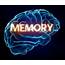 Memory Facts For Kids – How Your Brain Works