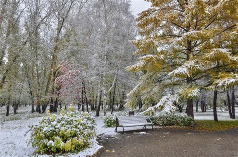 First Snowfall In City Park Late Autumn Or Early Winter Landscape