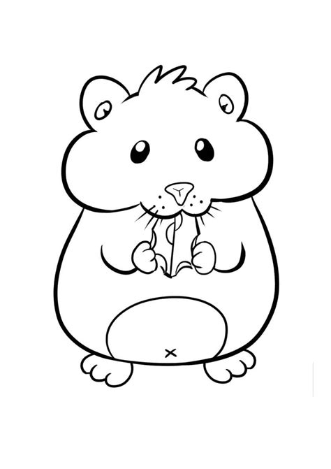 Bom Hamster Para Colorir Imprimir E Desenhar Colorir Me
