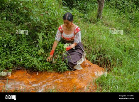 indigenous woman collecting medicinal plants next to a river of volcanic water in the jungle