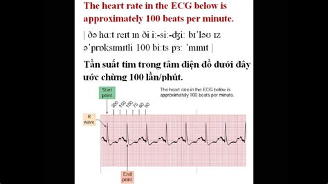 The Heart Rate 100 Beats Per Minute Youtube