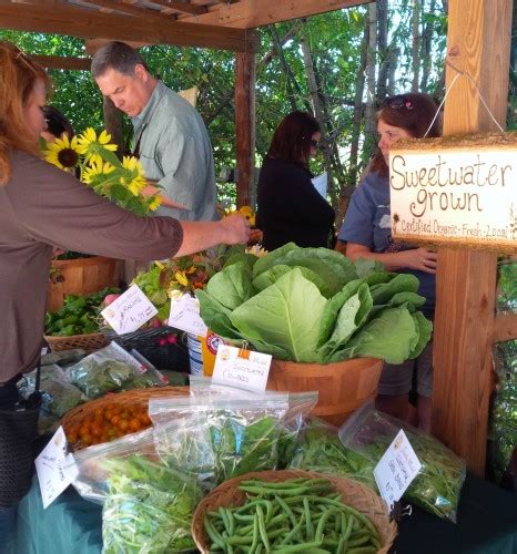 Pay your sweetwater credit card (synchrony) bill online with doxo, pay with a credit card, debit card, or direct from your bank account. Sunday Market | Sweetwater Organic Farm