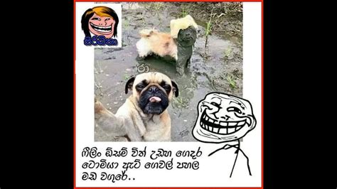 Fb Post Sinhala Fb Jokes Sinhala Athal Bukiya Page 25 Youtube