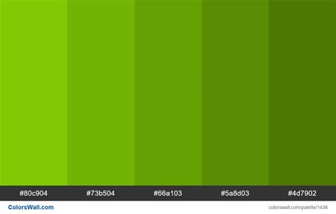 Green Shades 5 Colors Hex Colors 80c904 73b504 66a103 5a8d03