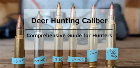Top Calibers For Deer Hunting Comprehensive Guide For Hunters