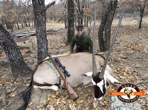 Gemsbok Hunting In Texas Squaw Mountain Ranch Hunts