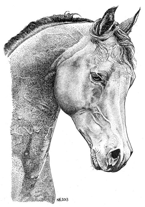 Horseinkpenpointillism Stippling Art Horses Horse