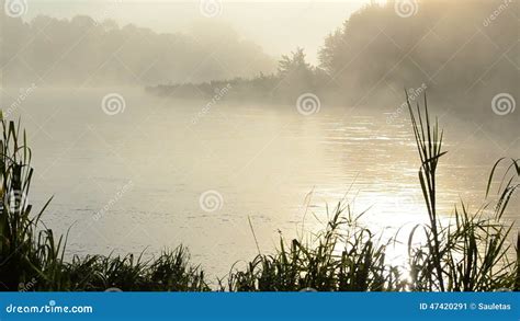 Morning Sunrise Reflection Misty Fog Rise Flowing River Water Stock