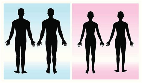Top 60 Human Body Outline Clip Art Vector Graphics And Illustrations