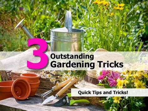 3 Outstanding Gardening Tricks