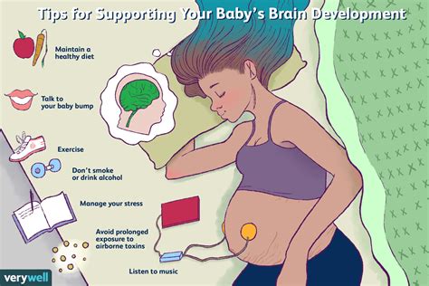 Everything You Need To Know About Fetal Brain Development
