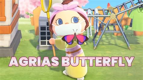 How To Capture Agrias Butterfly In Animal Crossing New Horizons Youtube