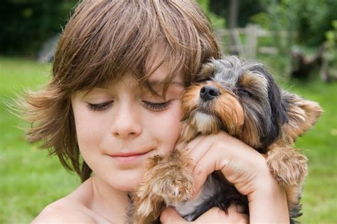 Best Small Breeds For Families Sheknows