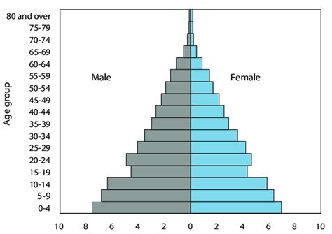 Age Sex Pyramid 2011 Download Scientific Diagram