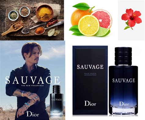 Top Best Perfumes Cologne For Men In The World Top Ten Lists