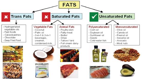 Trans Fatty Acids Foods
