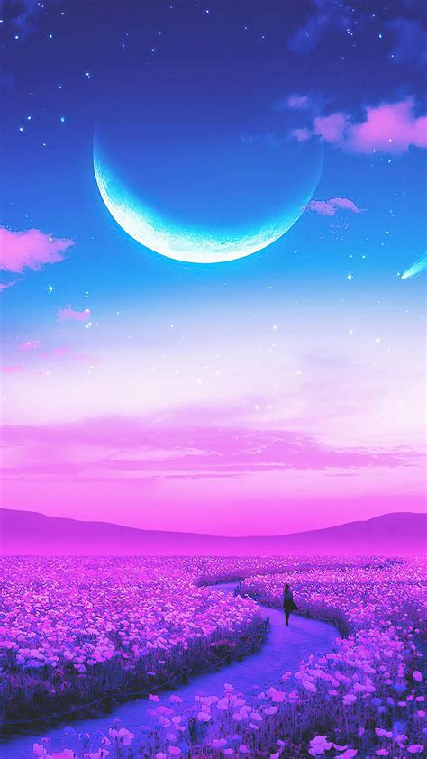 1080x1920 Day Dreaming Lavender Field 4k Iphone 76s6 Plus Pixel Xl