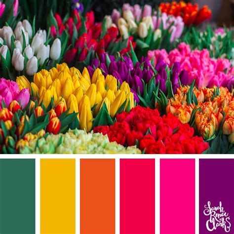 25 Floral Color Palettes Pantone Colour Palettes Color Schemes