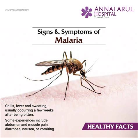 Signs And Symptoms Of Malaria Multispeciality Hospitals In Chennai