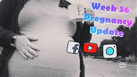 36 week pregnancy update life update youtube
