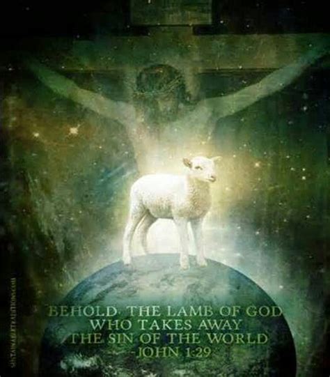 Lamb Of God Passover Lamb Jesus Our Savior Scripture