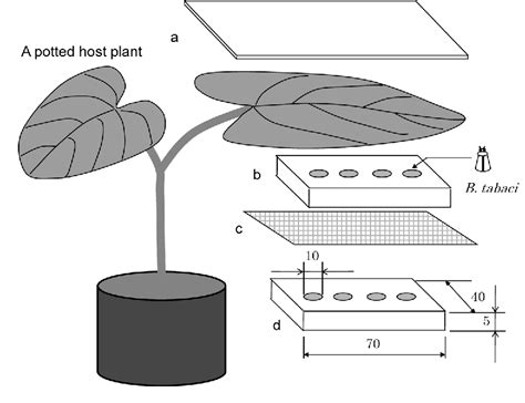 Figure 1 From Comparison Of Egg Hatching Rate Survival Rate And