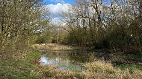 Six Major Nature Recovery Schemes Across England Unveiled Bbc News