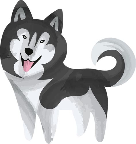 Cartoon Husky Png Png Image Collection