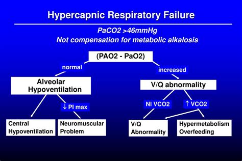 Ppt Acute Respiratory Failure Powerpoint Presentation Free Download Id 5750599