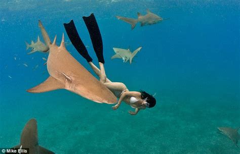 South African Free Diver Swims Naked Just Inches From Deadly Sharks Daily Mail Online