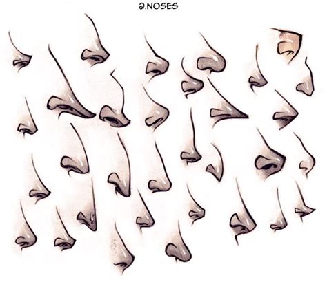 Different Types Of Noses Cartoon Noses Nose Drawing Character