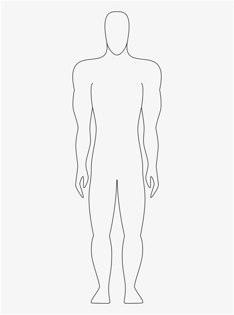 Human Body Outline Drawing Download Human Body Outline Stock Vectors
